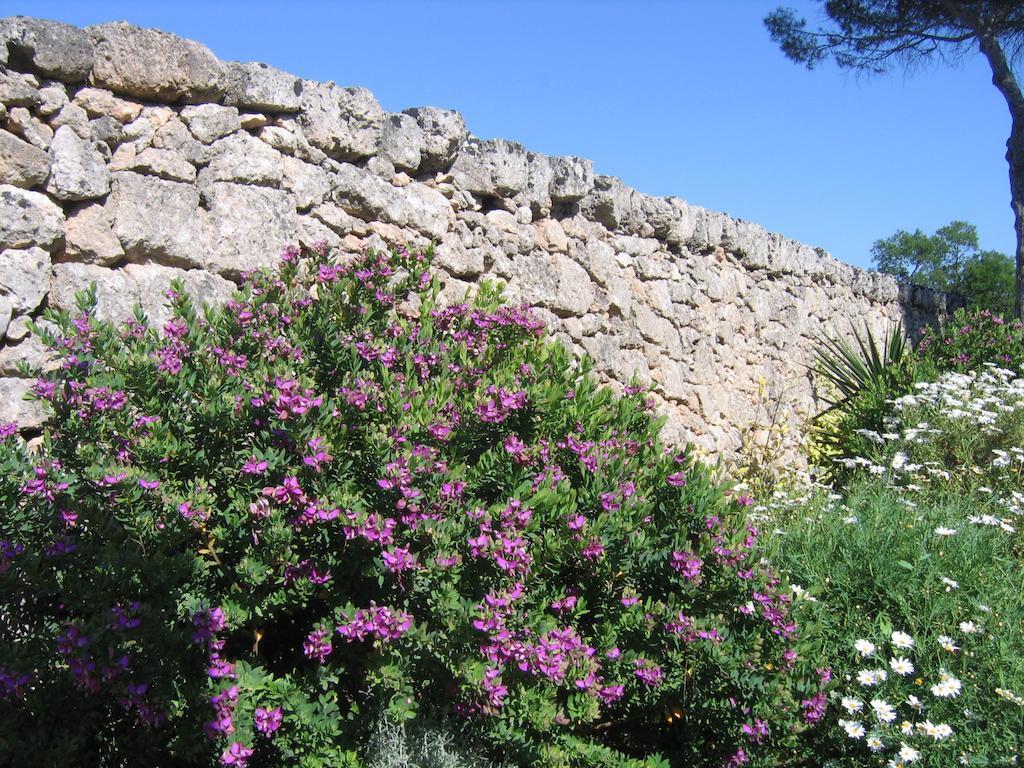 Masseria Pagani Nardò Kültér fotó