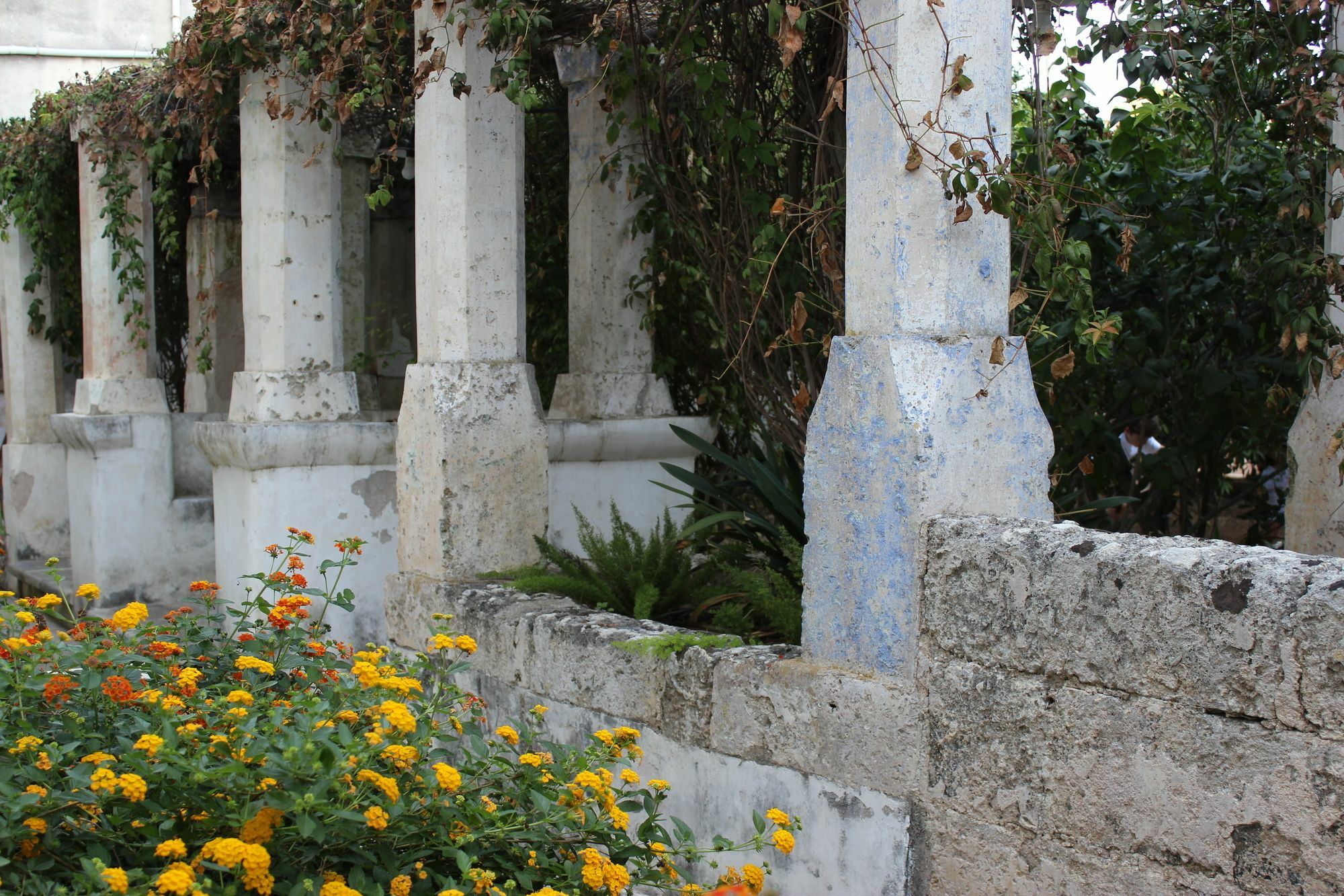 Masseria Pagani Nardò Kültér fotó