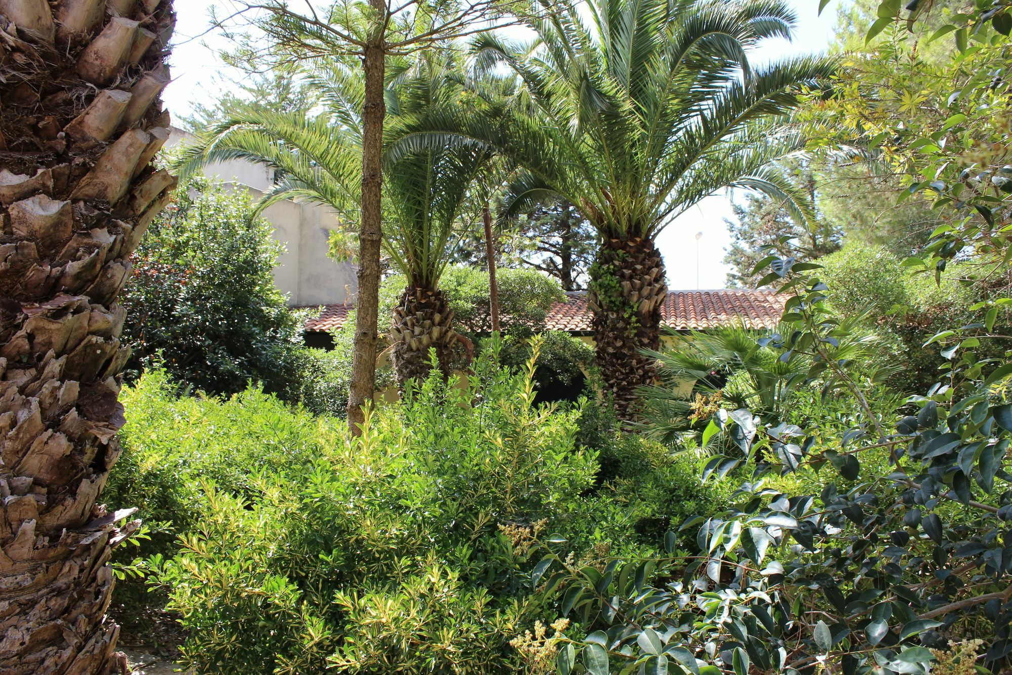 Masseria Pagani Nardò Kültér fotó